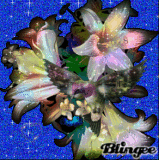 Humming Bird Love
