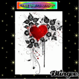belle images