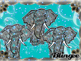 elephants