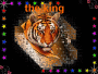 the king of the wild lol