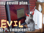 Evil