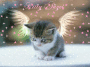 Kitty Angel