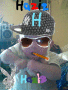 Haziq Cool Haziq Cool