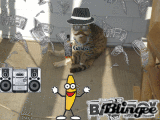bad kitty bad 