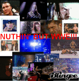 WWE, WHAT ELSE?!