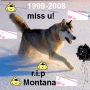 miss montana