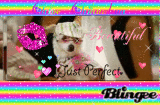 Chloe!!! *to: sawyer*