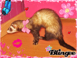 Mon bébé 