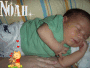 noah