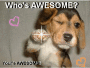 youre awesome