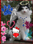 mon chat