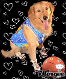 Airbud