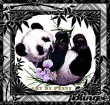 The Panda ~ PDB ~ Borzoilvr