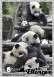 all piled up