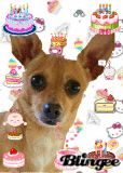 Pupppy Cake