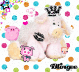 pigs!