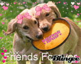 friendz forever