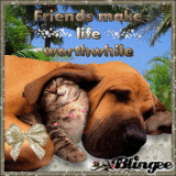 Friends