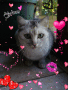 Xx-Cleopatre-xX