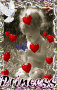 branka53 branka53