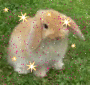 lapinou
