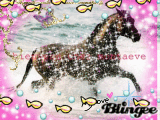cheval a la mer!!
