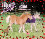 The Horse Lovers Group The Horse Lovers Group