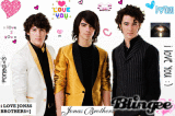 ilovethejonasbrothersandhsm