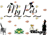 My Pets