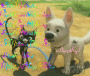 Mittens and Bolt marveled at all my accounts