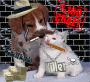 gang of dog and cat gang of dog and cat