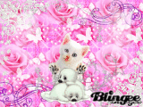so nice!!!!