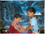 X and Renau