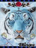 Blue Tiger