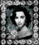 Timeless Beauty Elizabeth Taylor Timeless Beauty Elizabeth Taylor