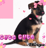 i luv pups <3