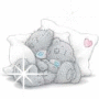 teddy