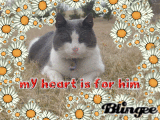 My Kitty!
