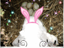 Look My eggs 