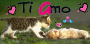 ti amo