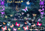 Butterflies & Faeries