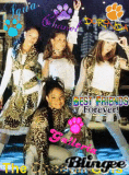 The Cheetah Girls
