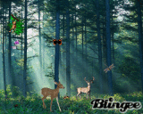 forest