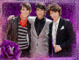 jonas brothers