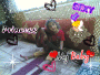 my schatz!!