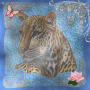 bbeau tigre bbeau tigre