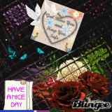 nice day