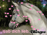 Araber