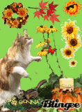 Its gonna be fall 