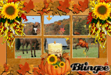 Fall Time